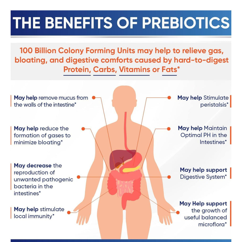 Organic Probiotics 100 Billion CFU with Prebiotics & Digestive Enzymes 30 Capsules Bundle of 4