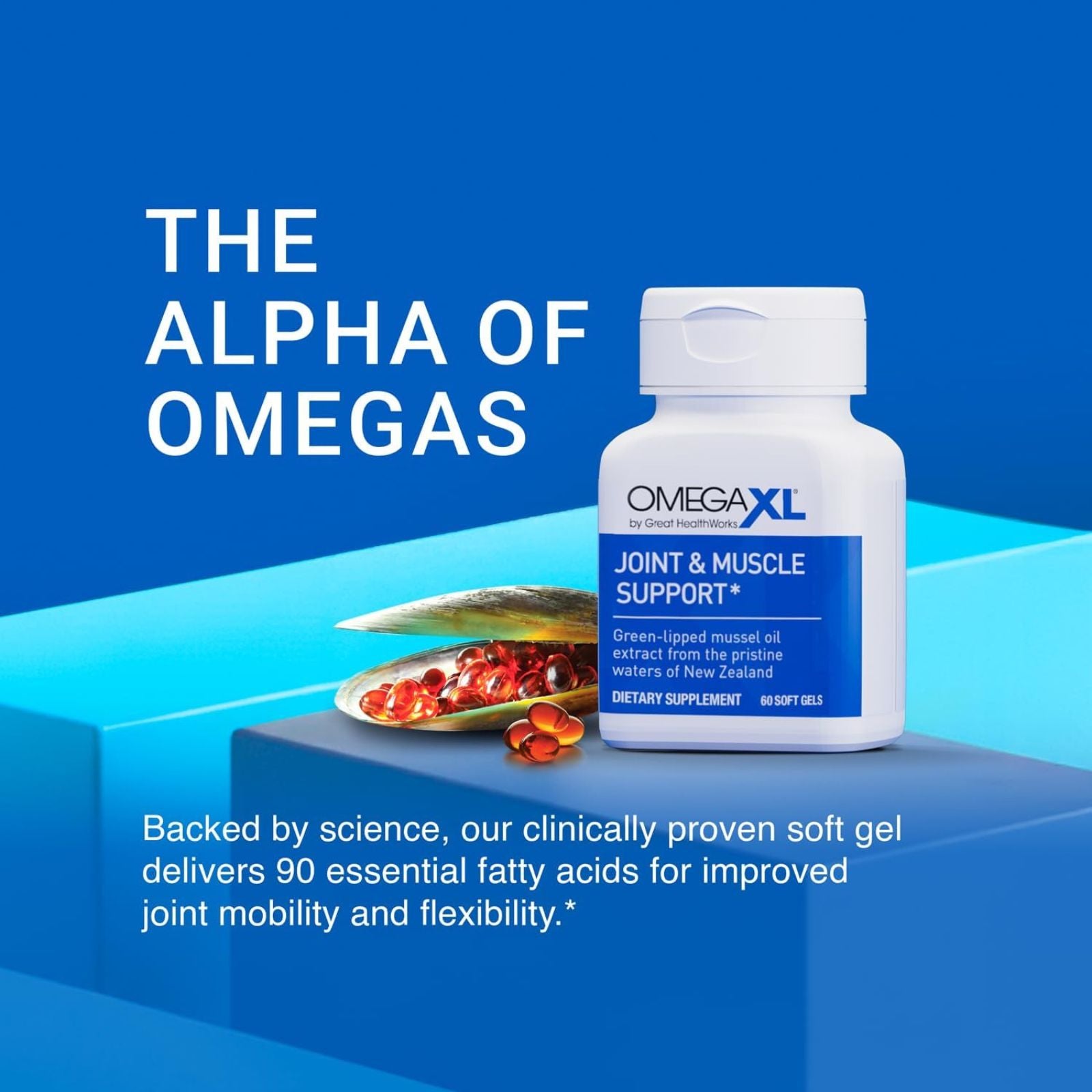 OmegaXL Joint Support Supplement Green Lipped Mussel Oil 60 Count Bundle of 4
