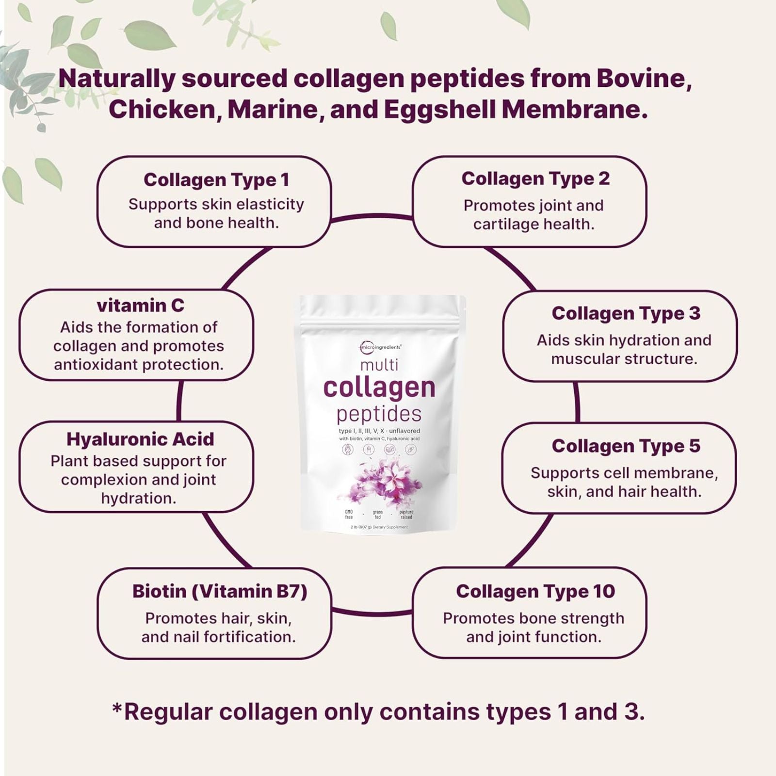 Micro Ingredients Multi Collagen Peptides Powder 32oz Bundle of 4
