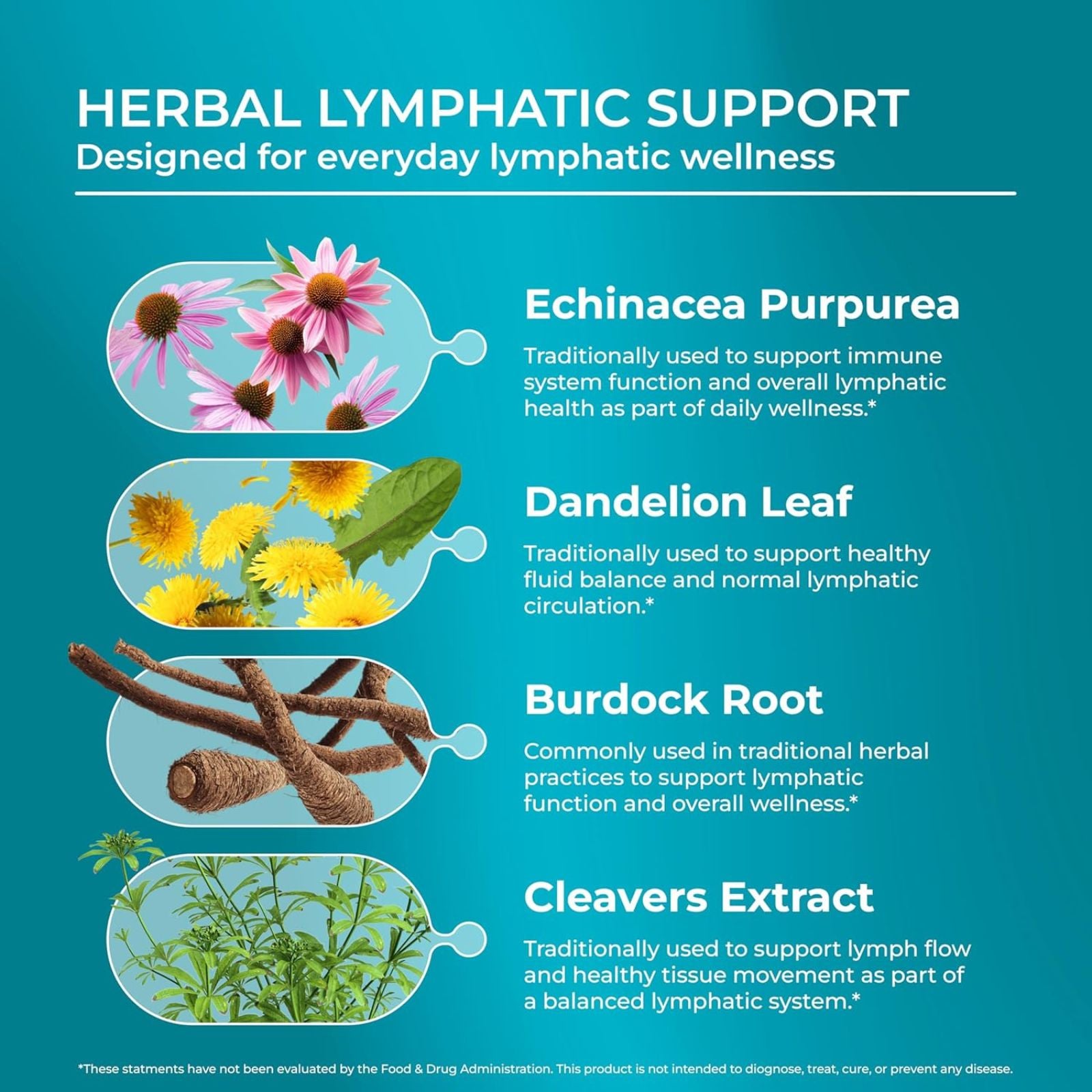 PureHealth Research Lymph System Support Supplement Bundle of 4