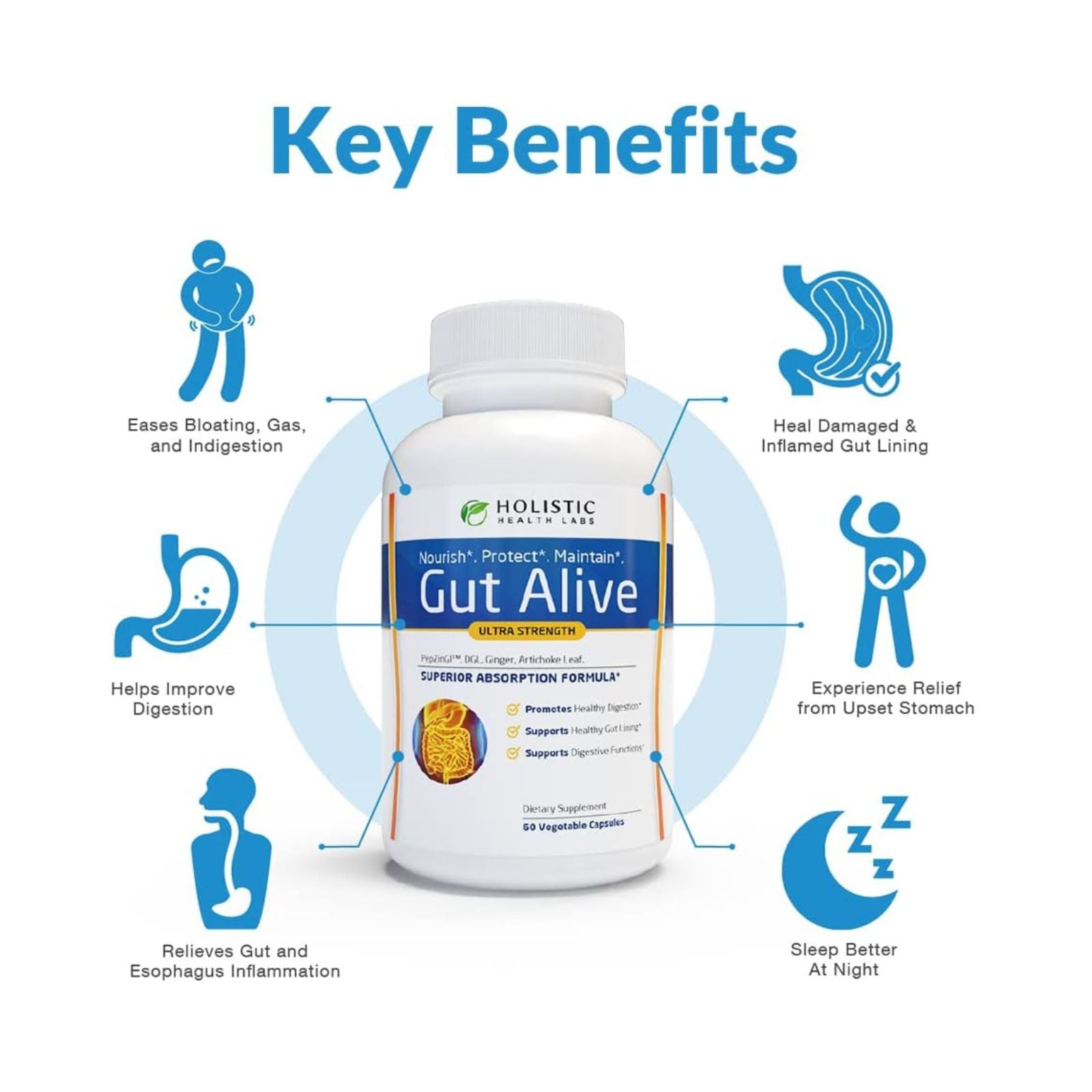 Gut Alive All Natural Digestive & Gut Health Support Supplement 60 Capsules Bundle of 4