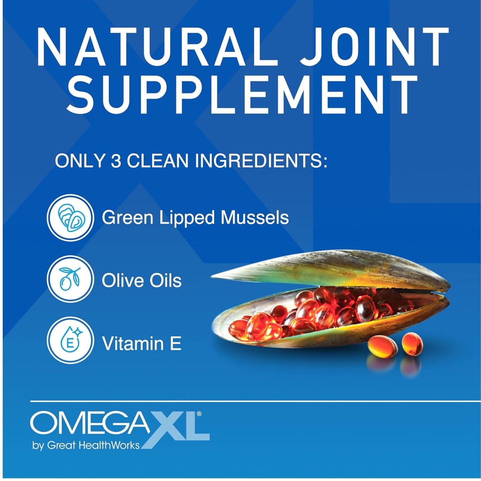 OmegaXL Joint Support Supplement Green Lipped Mussel Oil 120 Count Bundle of 4