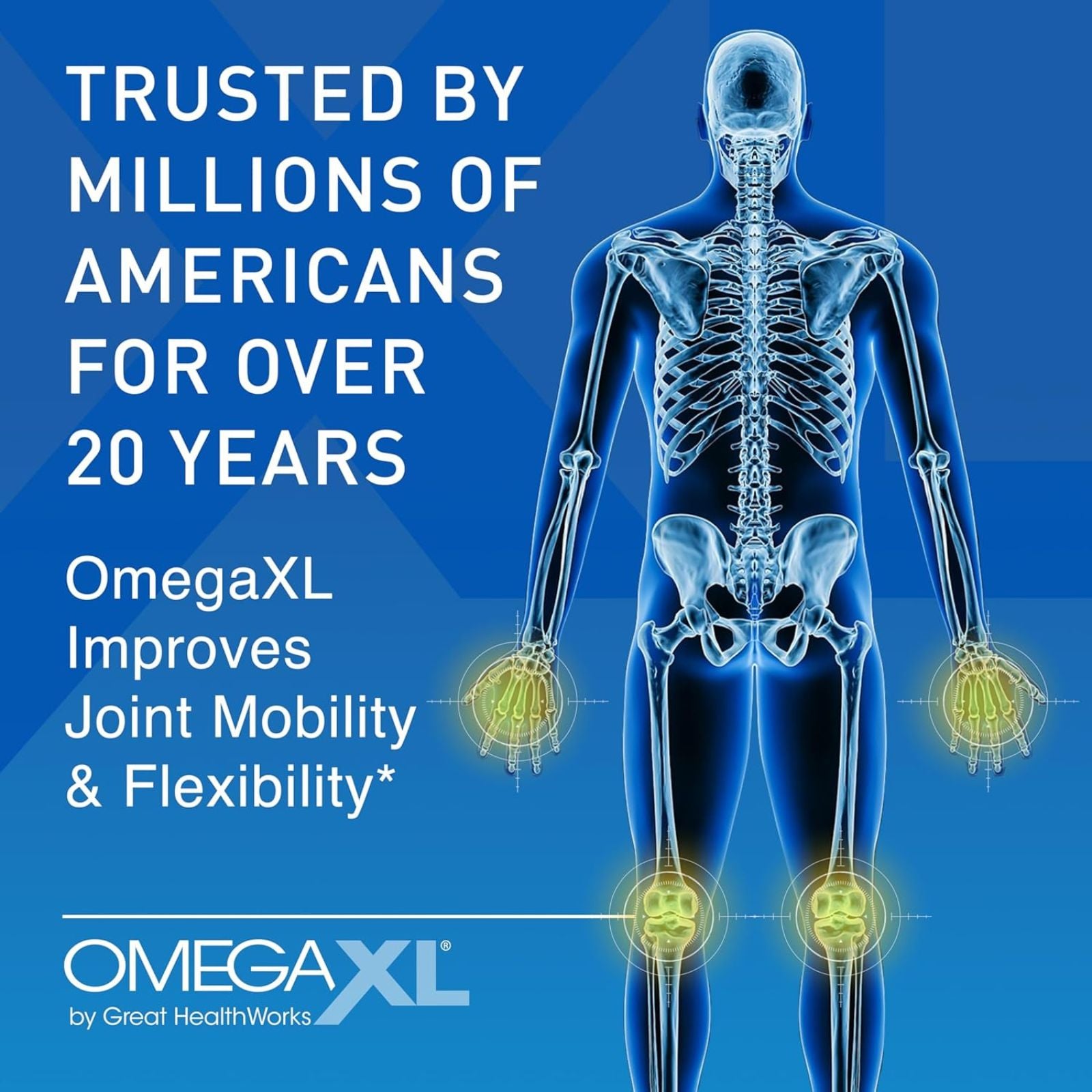 OmegaXL Joint Support Supplement Green Lipped Mussel Oil 60 Count Bundle of 4