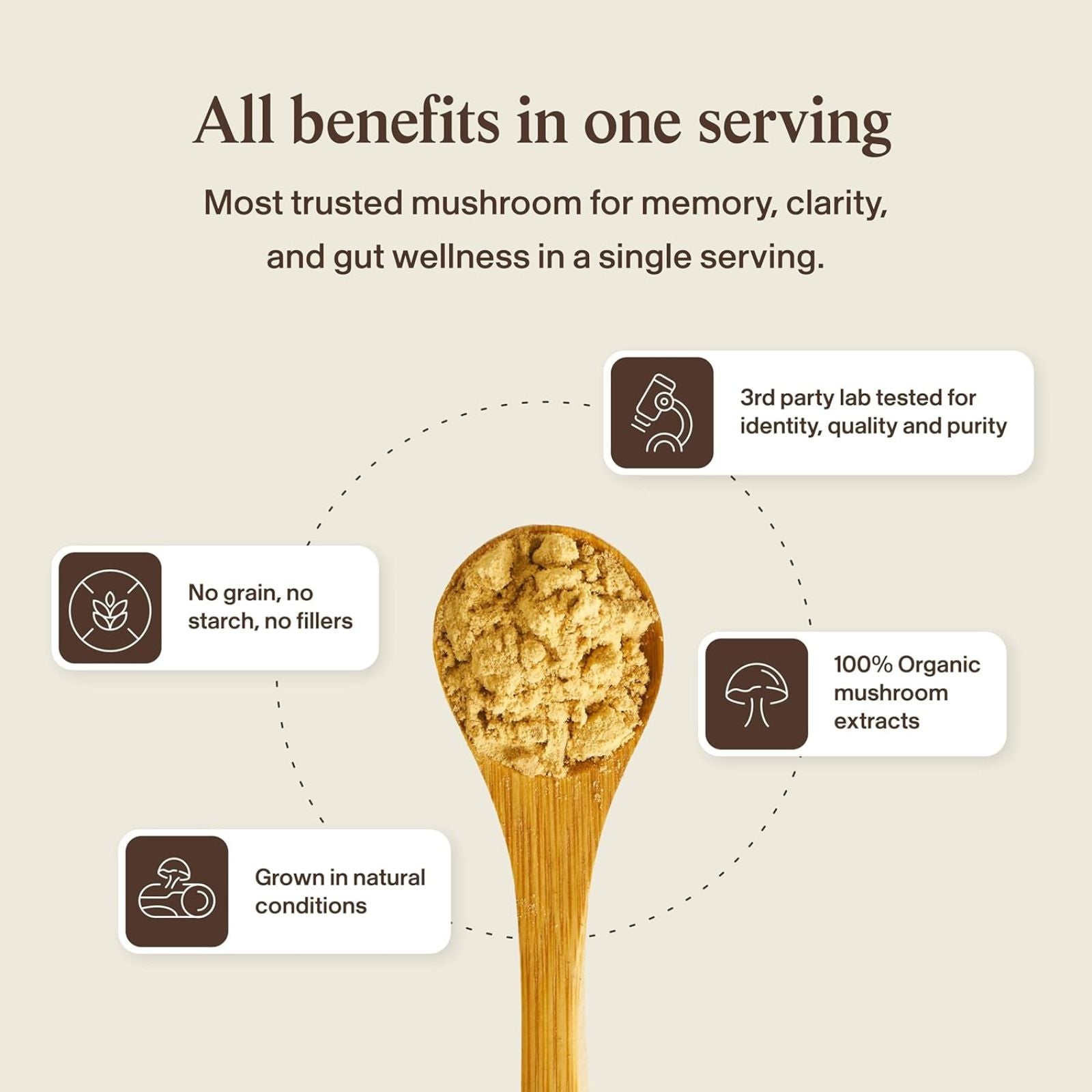 Real Mushrooms Lion’s Mane Mushroom Cognition Bundle of 4 – Organic Cognitive Focus & Memory Support Capsules – 120 Capsules Each